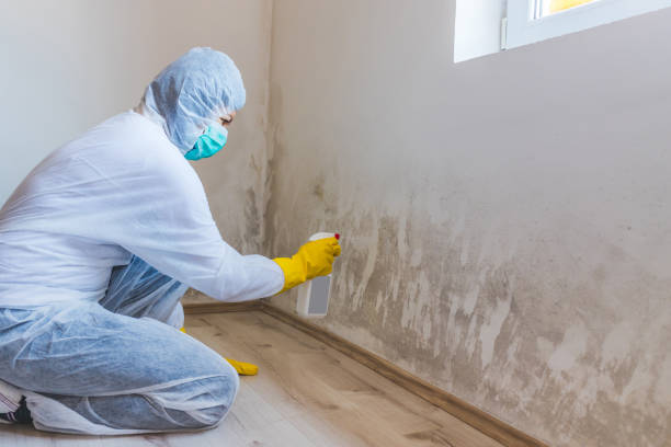 Attic mold on roof deck in Burtonsville home