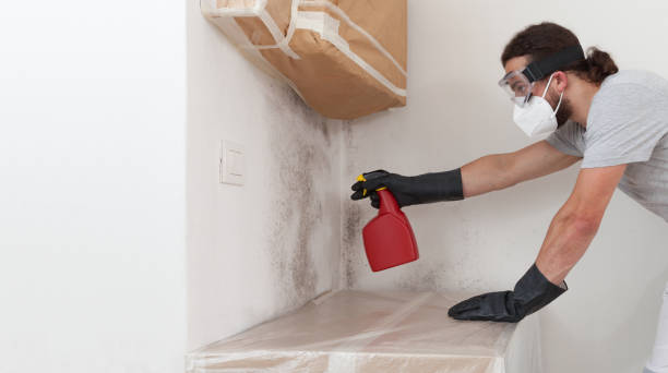 Attic Mold Remediation treatment on roof deck in Burtonsville