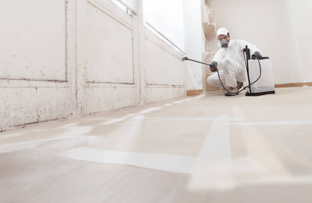 Black mold remediation team in Burtonsville