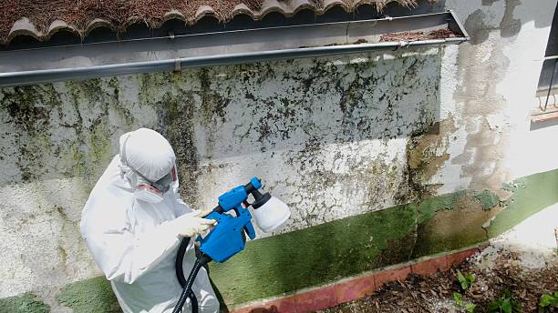 Mold Remediation service in Burtonsville, Burtonsville, MD